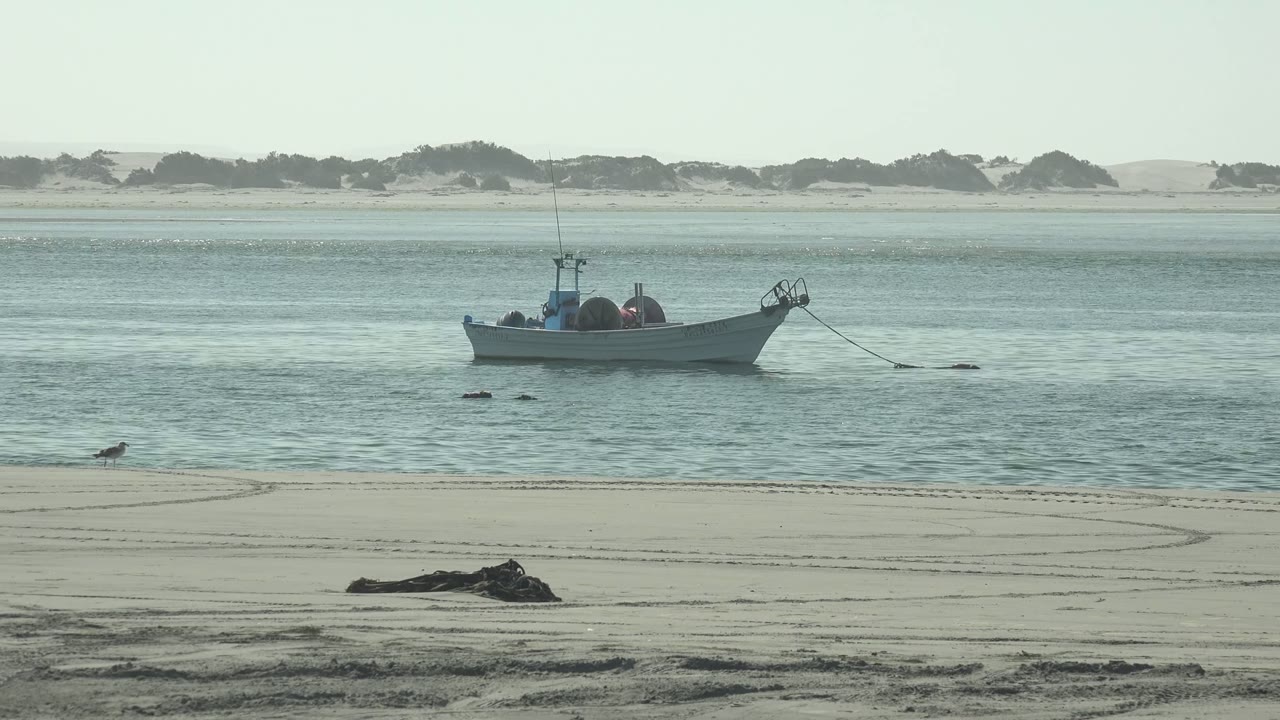 At 0:00 in La Bocana, Baja California Sur, a small boat sits in calm water beyond a sandy beach, with gulls near the shore, low dunes in the distance, and no visible people.
