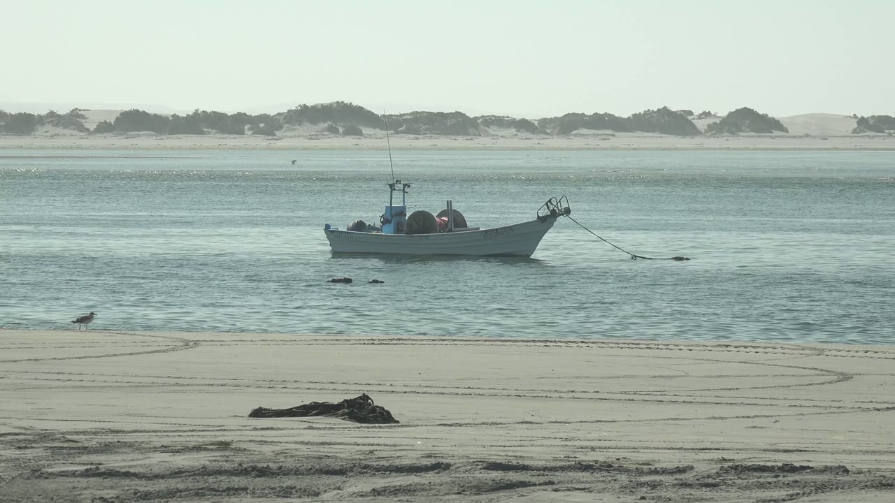 At 0:02 in La Bocana, Baja California Sur, the small fishing boat is seen over shallow blue water with gulls near the beach, dune shapes across the horizon, and no visible people.