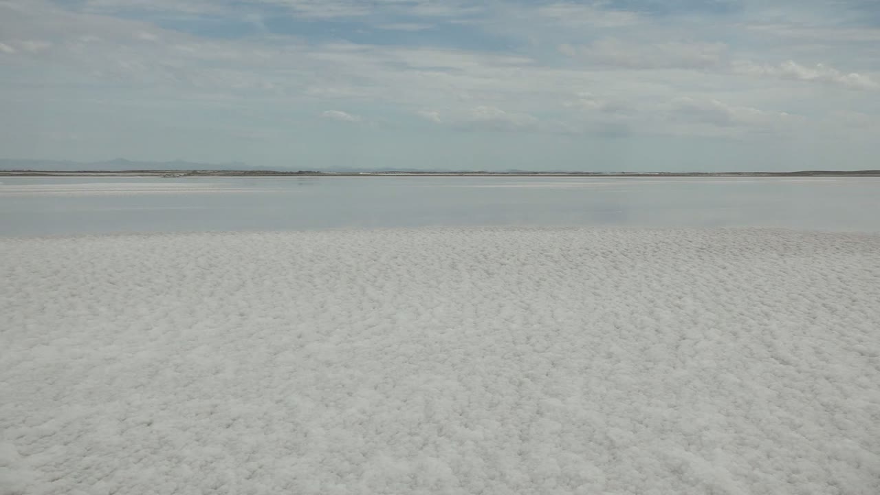 Open Guerrero Negro salt flat with a pale rough surface in the foreground, distant shoreline across the horizon, cloudy sky above, and no visible people.