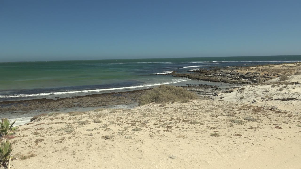 At 0:02, a small cactus-like plant appears near the lower foreground as La Bocana sand, rocky tide edge, green water, distant horizon, and no visible people fill the view.
