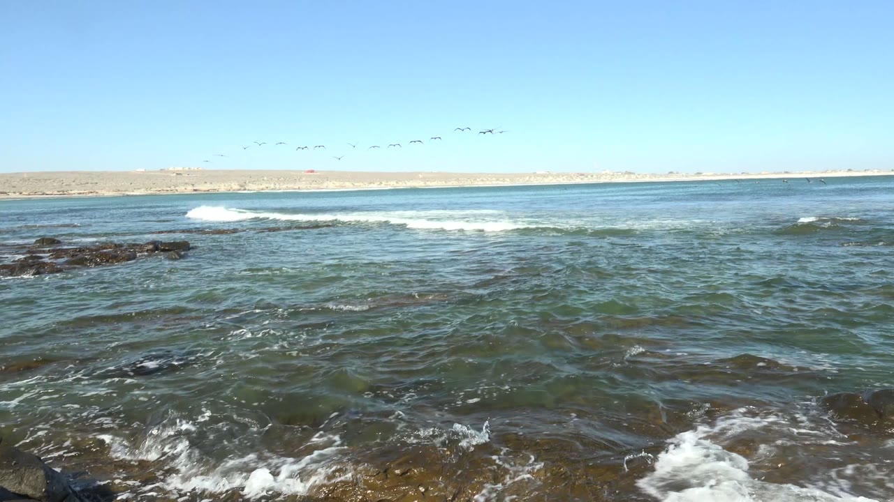 Ocean waves crossing rocks below a line of birds in the sky