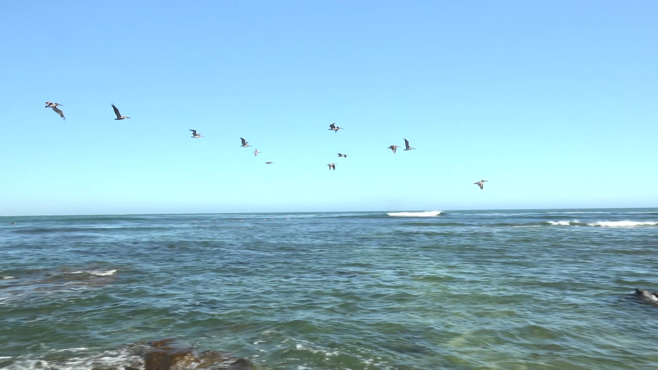 At La Bocana in Baja California Sur, seabirds fly across a clear blue sky over green-blue ocean water with dark rocks at the frame edges and no visible people.