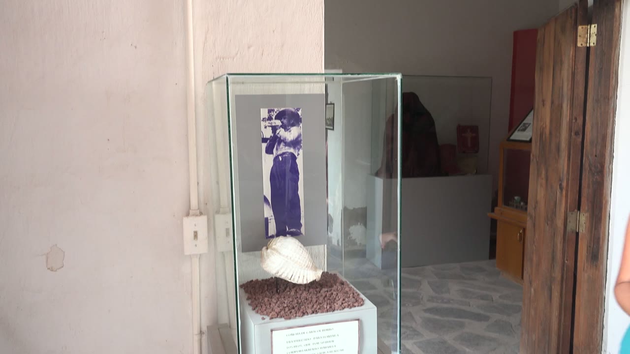 Glass case with seashell as a person begins to pass at the right edge.