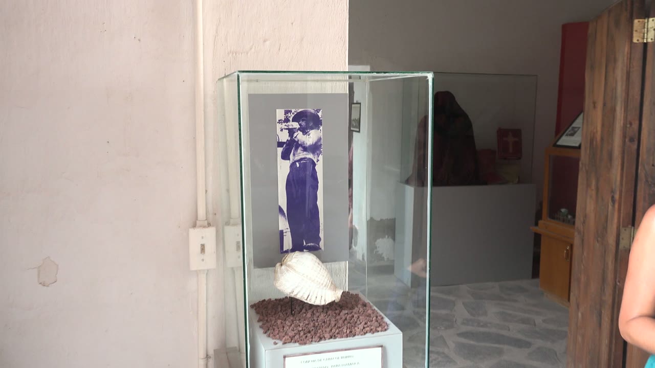 A glass exhibit case with the white seashell and purple photograph stands in the foreground as a visitor's arm and torso remain partly visible at the right edge in Mulege.