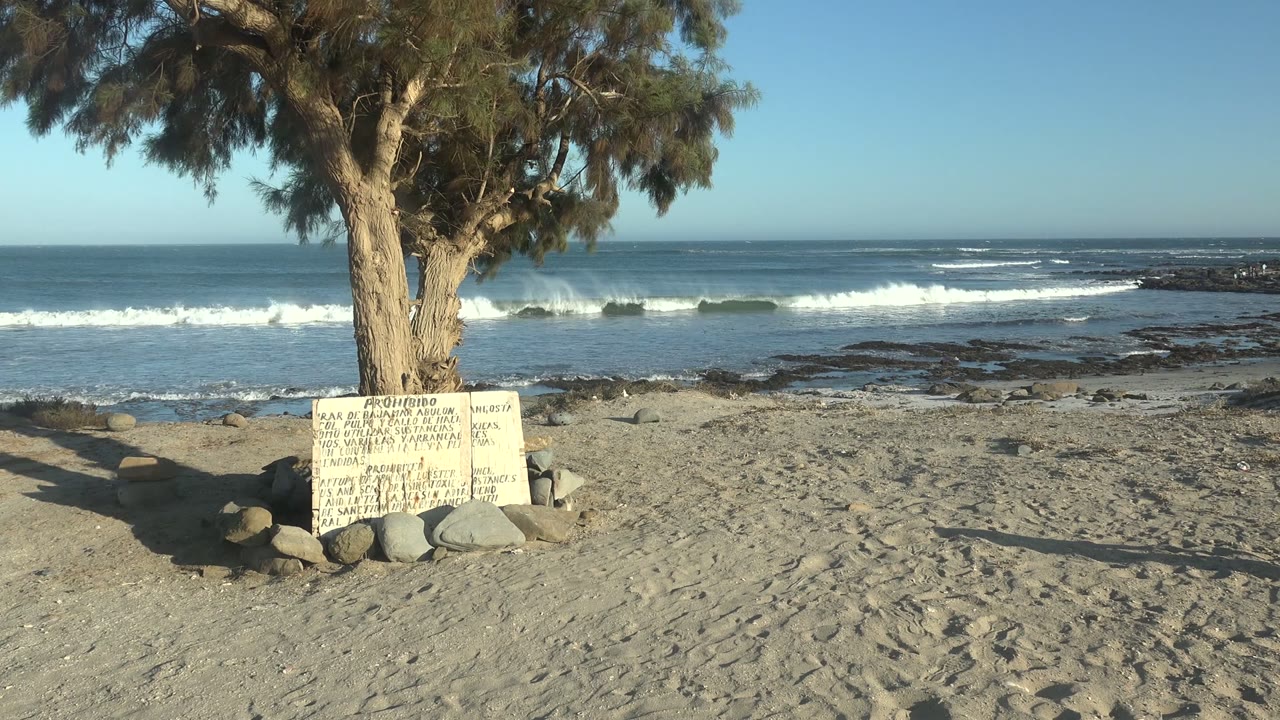 Opening frame of a La Bocana, Baja California Sur beach with a large tree, hand-lettered sign, rocks, sandy ground, white surf, blue ocean, clear sky, and no visible people.