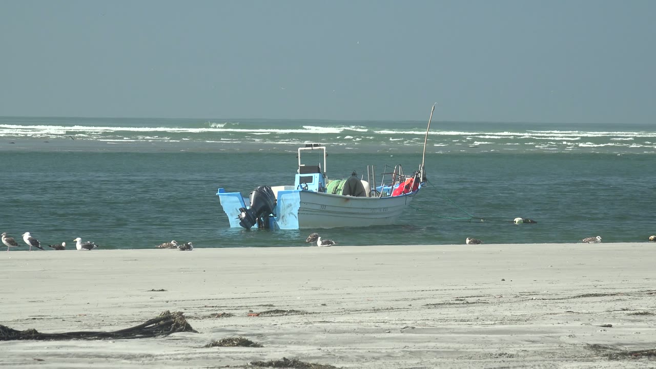 At La Bocana, Baja California Sur, a small blue and white boat sits offshore while seagulls rest and move along the sandy foreground.