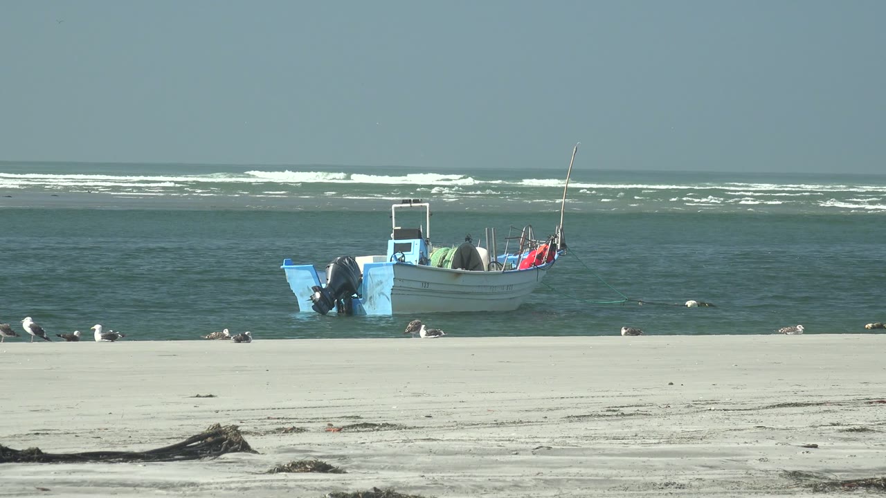At La Bocana, the boat sits slightly right of center with teal water behind it, white surf lines on the horizon, and seagulls spread across the lower sand.