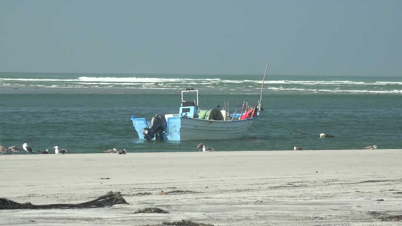 At 0:00 in La Bocana, Baja California Sur, a small blue-and-white boat floats beyond pale sand as seagulls line the shore and white waves break in the background, with no visible people.