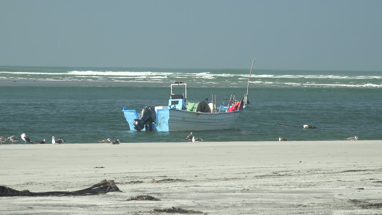 Boat in shallow coastal water with seagulls on the sand and surf behind it.