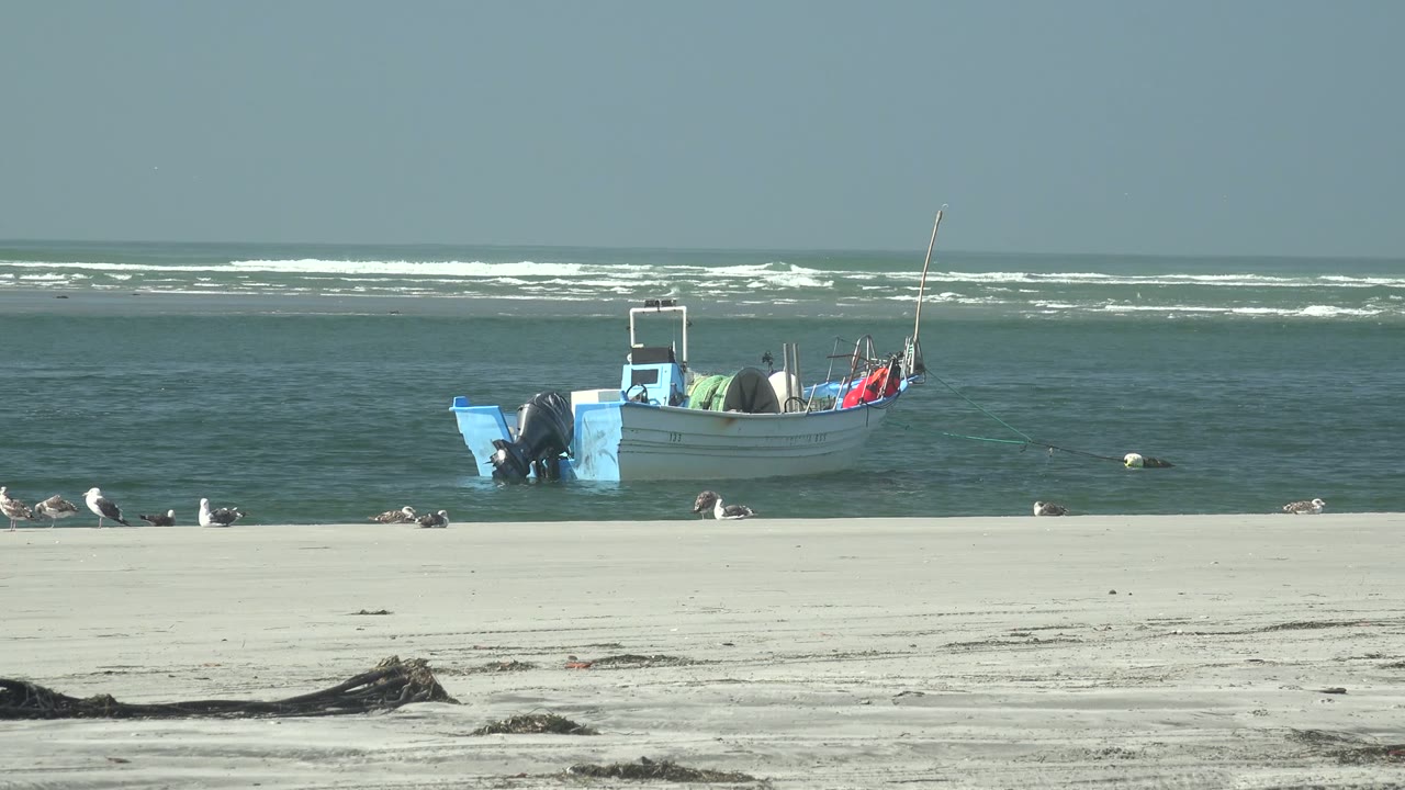 At 0:02 in La Bocana, Baja California Sur, a small boat sits near the beach with gulls spread along the shoreline and whitecaps farther offshore, with no visible people.
