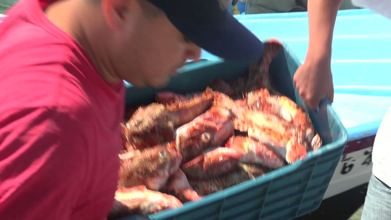 At La Bocana, Baja California Sur, a worker in a red shirt carries a blue plastic crate packed with crabs next to a light blue boat.