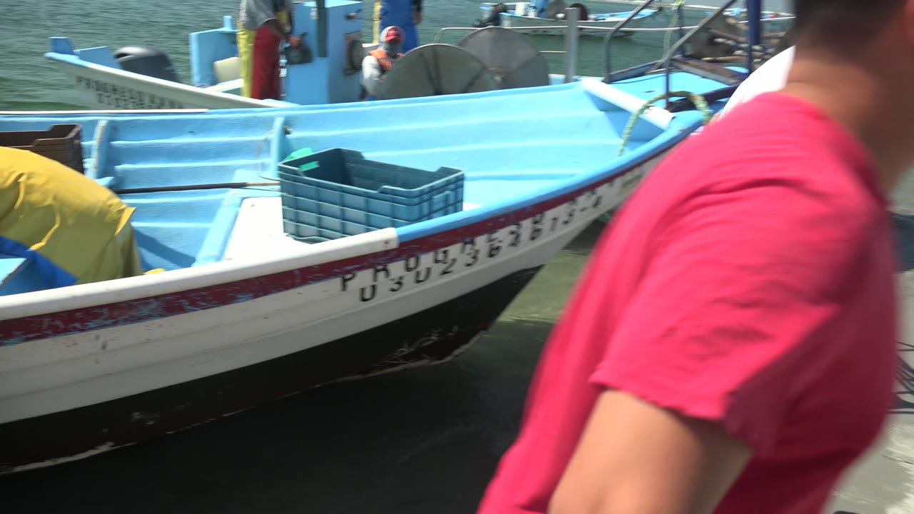 Blue fishing boats tied along the dock with workers partly visible nearby.