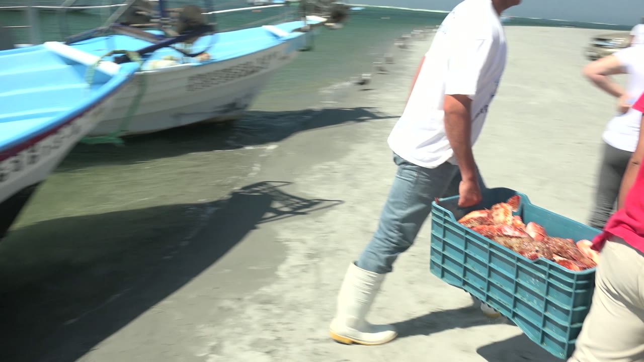 Two workers carry a blue crate filled with crabs across the concrete dock at La Bocana, with small boats and shallow water behind them.