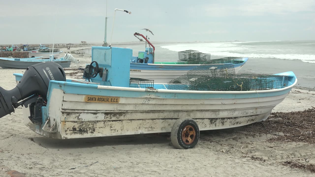 Fishing boat with blue interior and netting on sand near breaking waves.