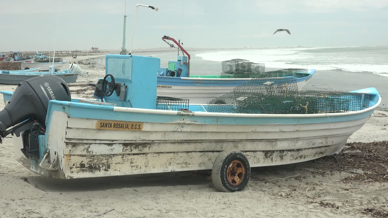 At 0:02, a seagull crosses the sky above the ocean while the white and blue fishing boat sits on the Punta Abreojos sand with nets and no visible people.