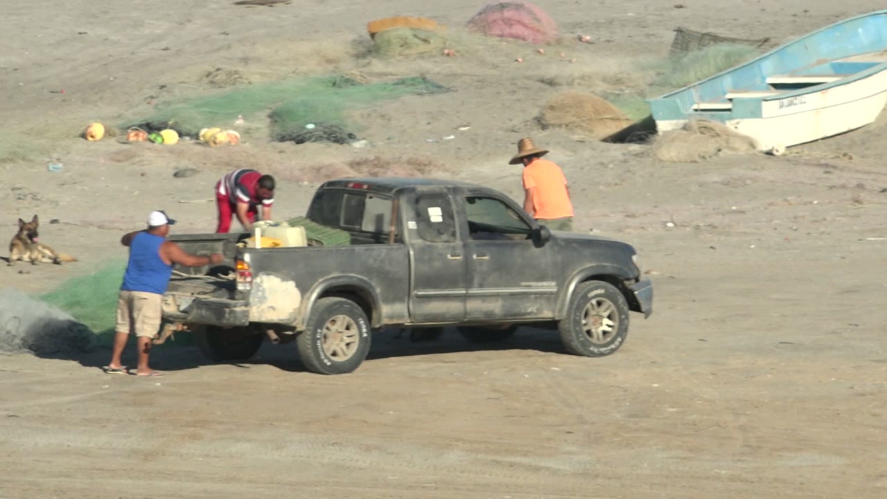 Fishing crew working beside a pickup with nets on the sand