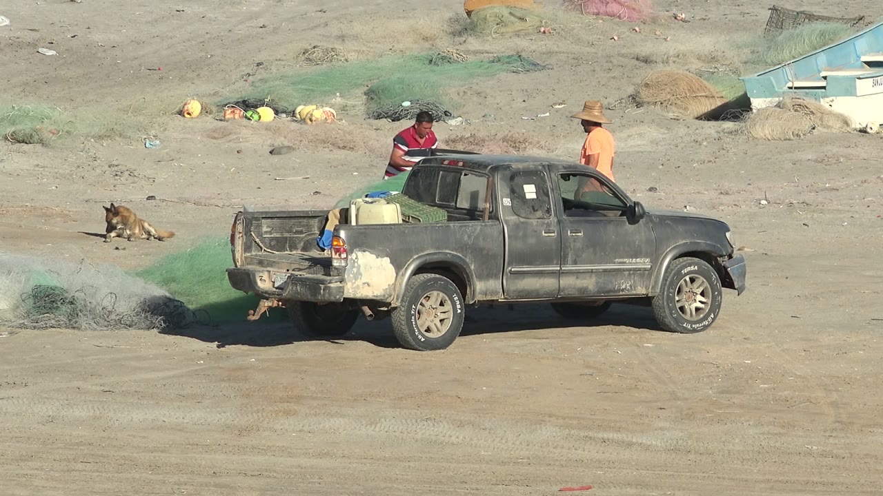 In San Juanico, Baja California Sur, a dog lies near green fishing net beside a gray pickup truck while two workers stand near the cab and truck bed.