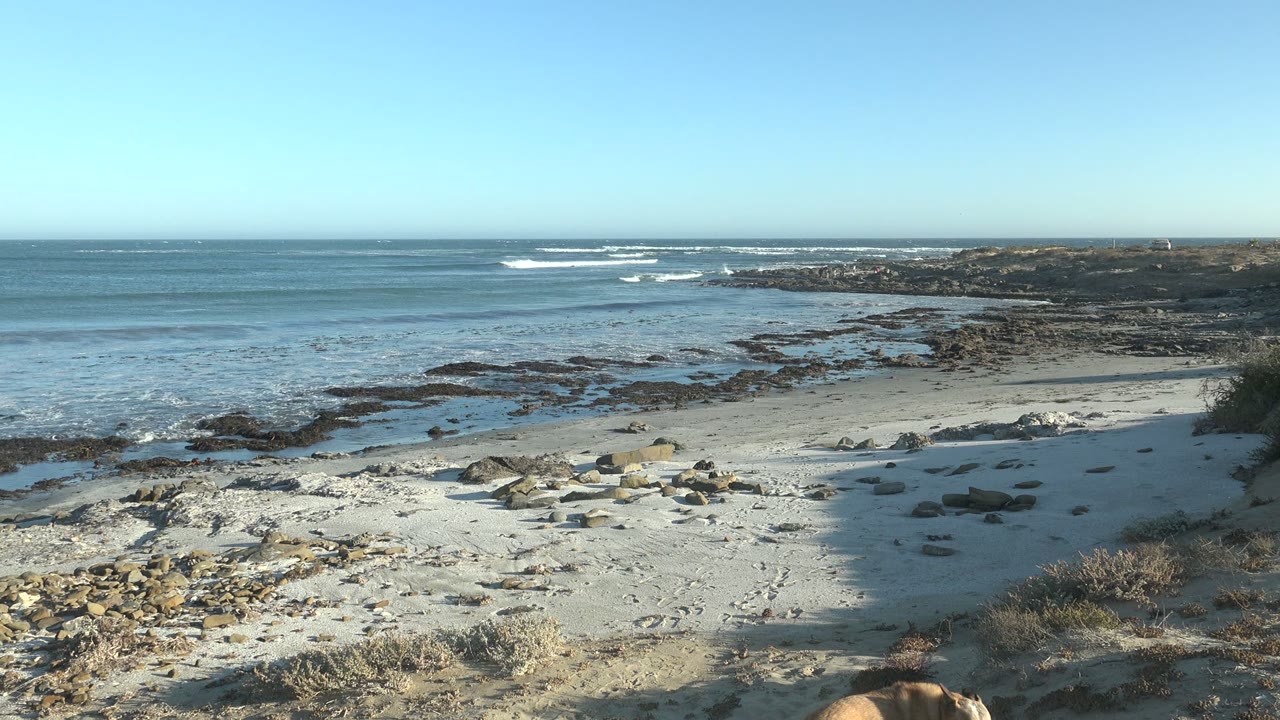 At 0:02 in La Bocana, Baja California Sur, a tan dog is barely visible along the lower right edge, with the frame dominated by sandy foreground, scattered stones, dark rock shelves, small white waves, blue water, and no visible people.
