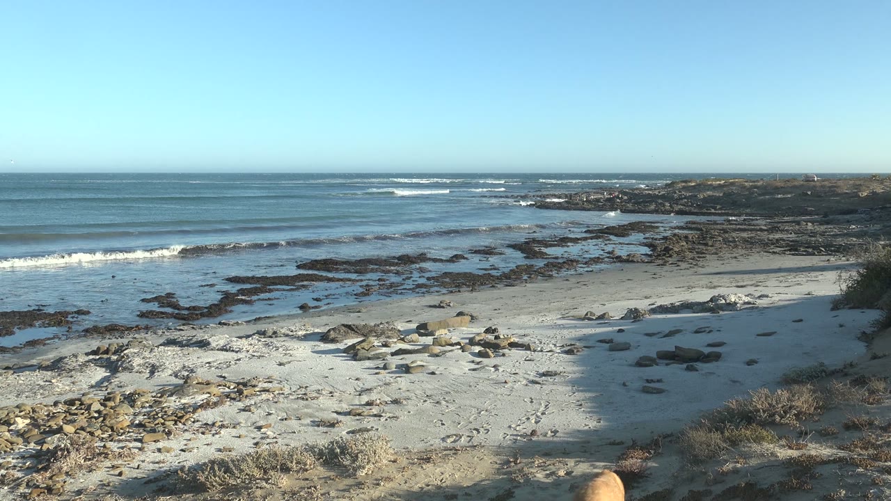 Opening frame of the La Bocana shoreline shows low ocean waves approaching a sandy, rocky beach with scrub vegetation in the foreground and no visible people.