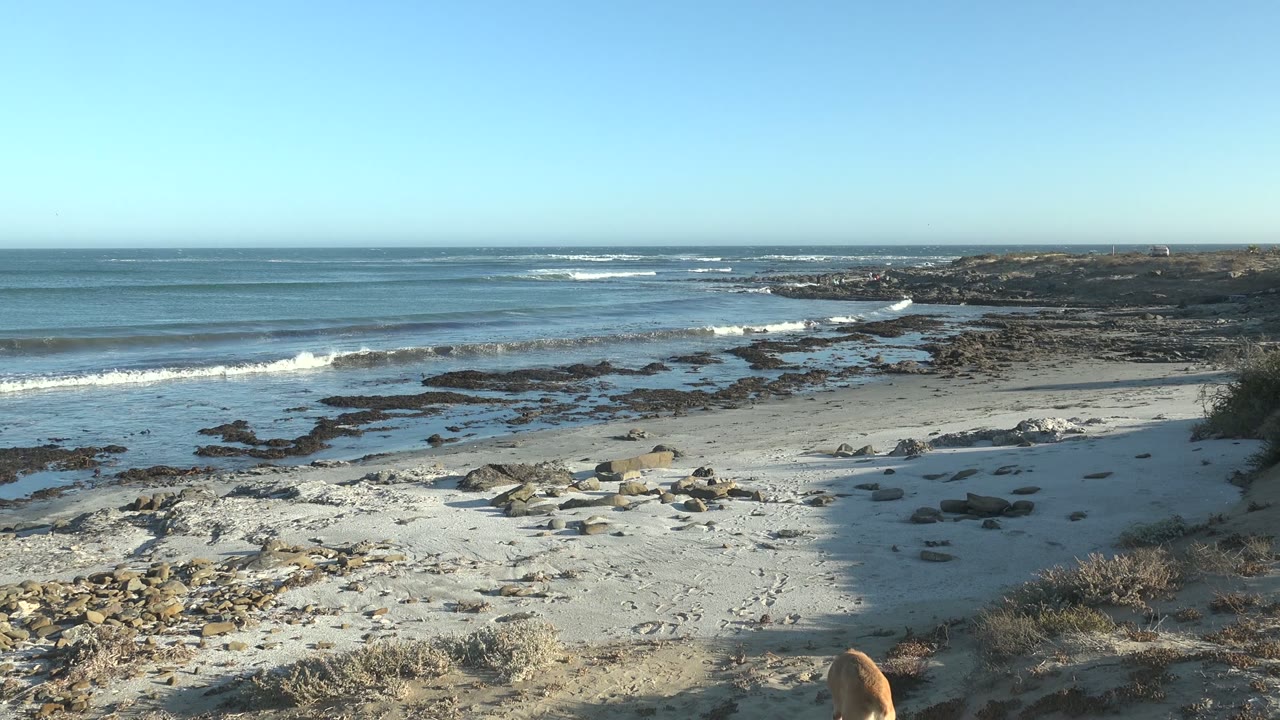 Ocean wave line nearing a sandy beach with scattered rocks.