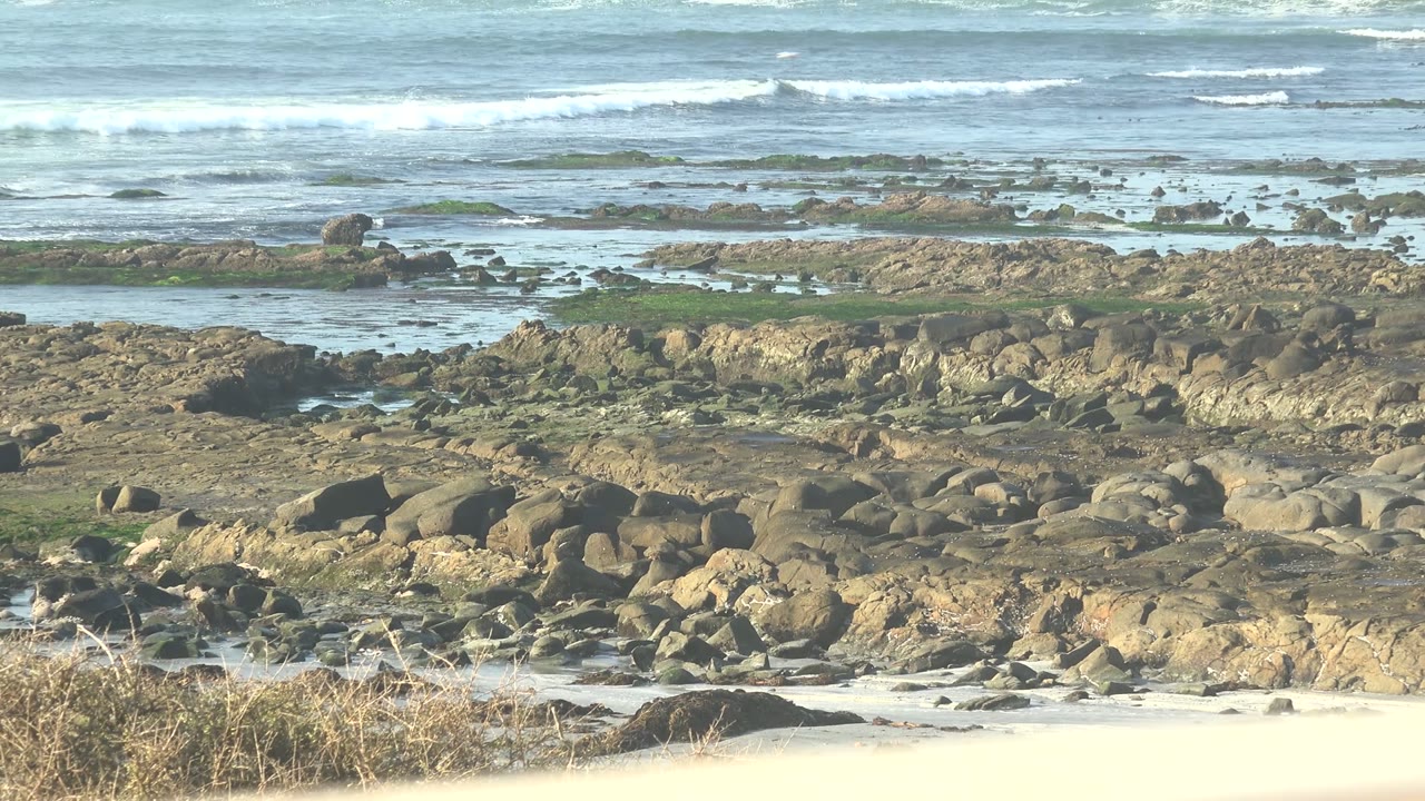 Ocean surf rolling across a rocky algae-covered shore