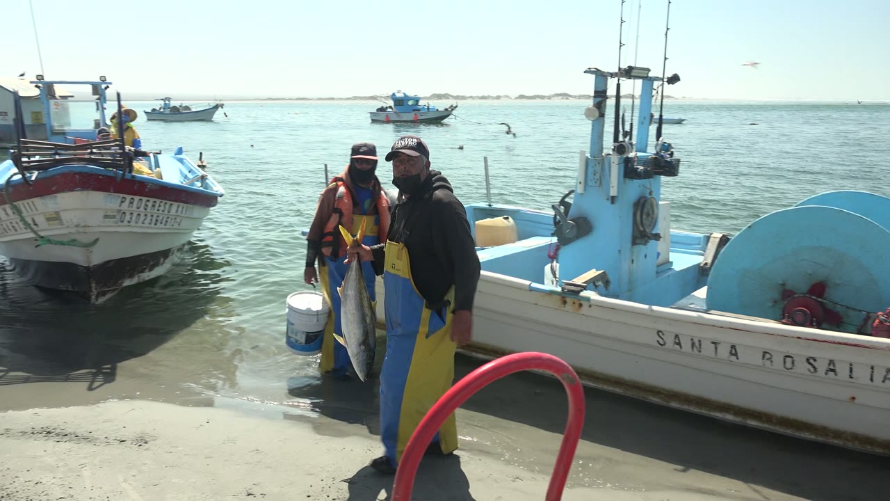 At La Bocana, Baja California Sur, two fishermen in blue and yellow gear stand by small boats while one displays a large fish at the edge of shallow water.