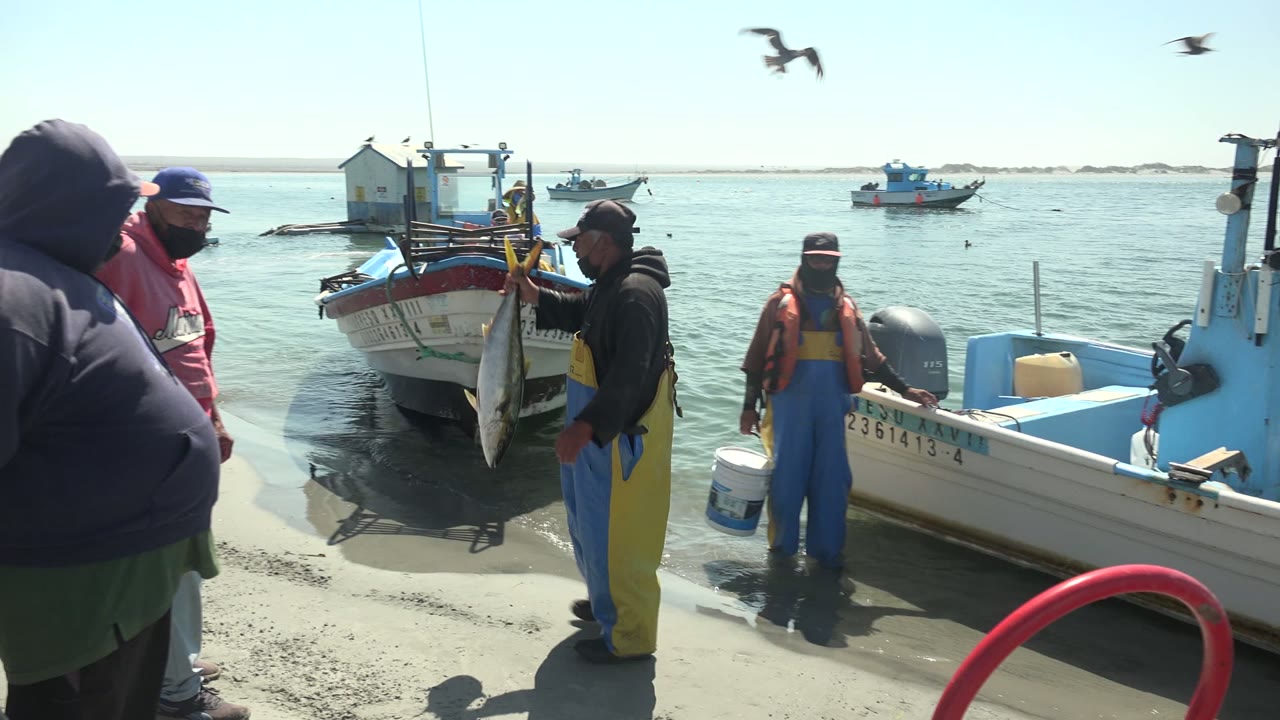 At La Bocana, Baja California Sur, foreground adults partly enter the scene as a fisherman holds a large fish near small boats pulled close to the sandy waterline.