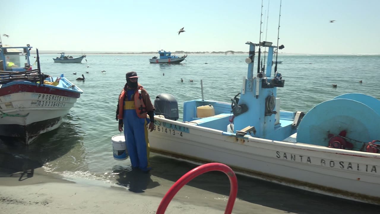 At La Bocana, Baja California Sur, a crew member in a life vest stands beside the white and blue SANTA ROSALIA fishing boat as seagulls fly over calm water.