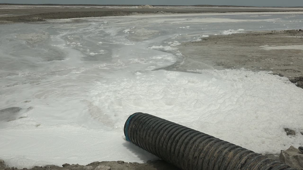 Black ribbed industrial hose releases white foam across flat ground in Guerrero Negro, Baja California Sur, with distant mounds under a gray sky and no visible people.