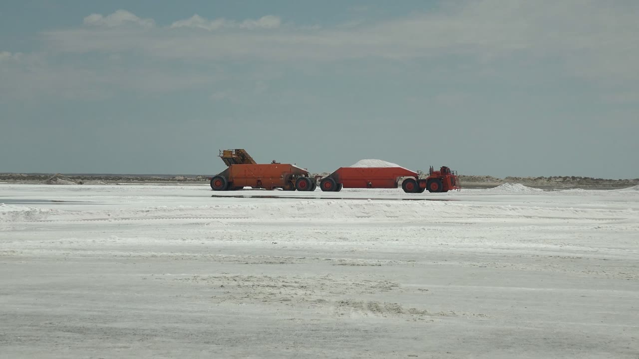 Red vehicles and trailer centered on a white field with a low horizon.