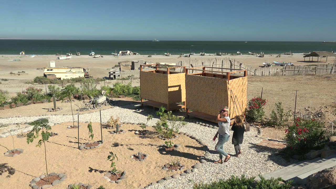 Two adults stand and walk near a small wooden structure on a sandy San Juanico beach, with planted beds, a gravel path, and blue ocean in the background.