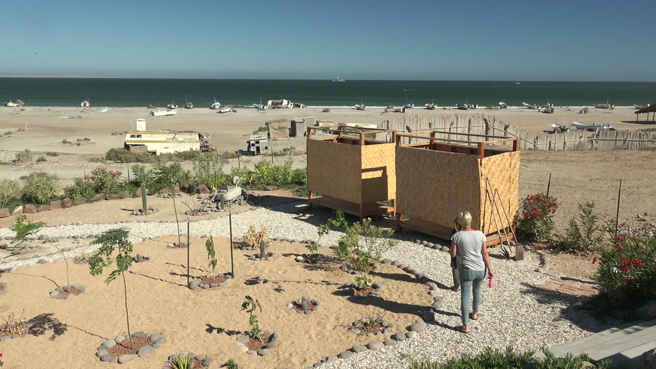 Adult walking toward a wooden structure beside a sandy beach garden.