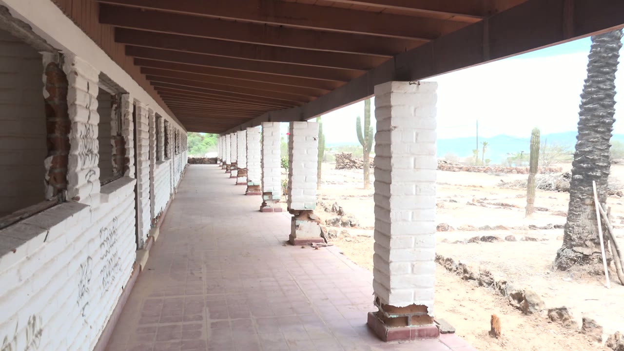 White-column porch corridor with cactus and palm visible outside.