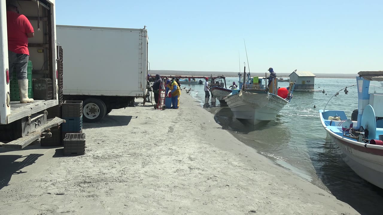 Blue boat at right foreground with people and boats near a dock.