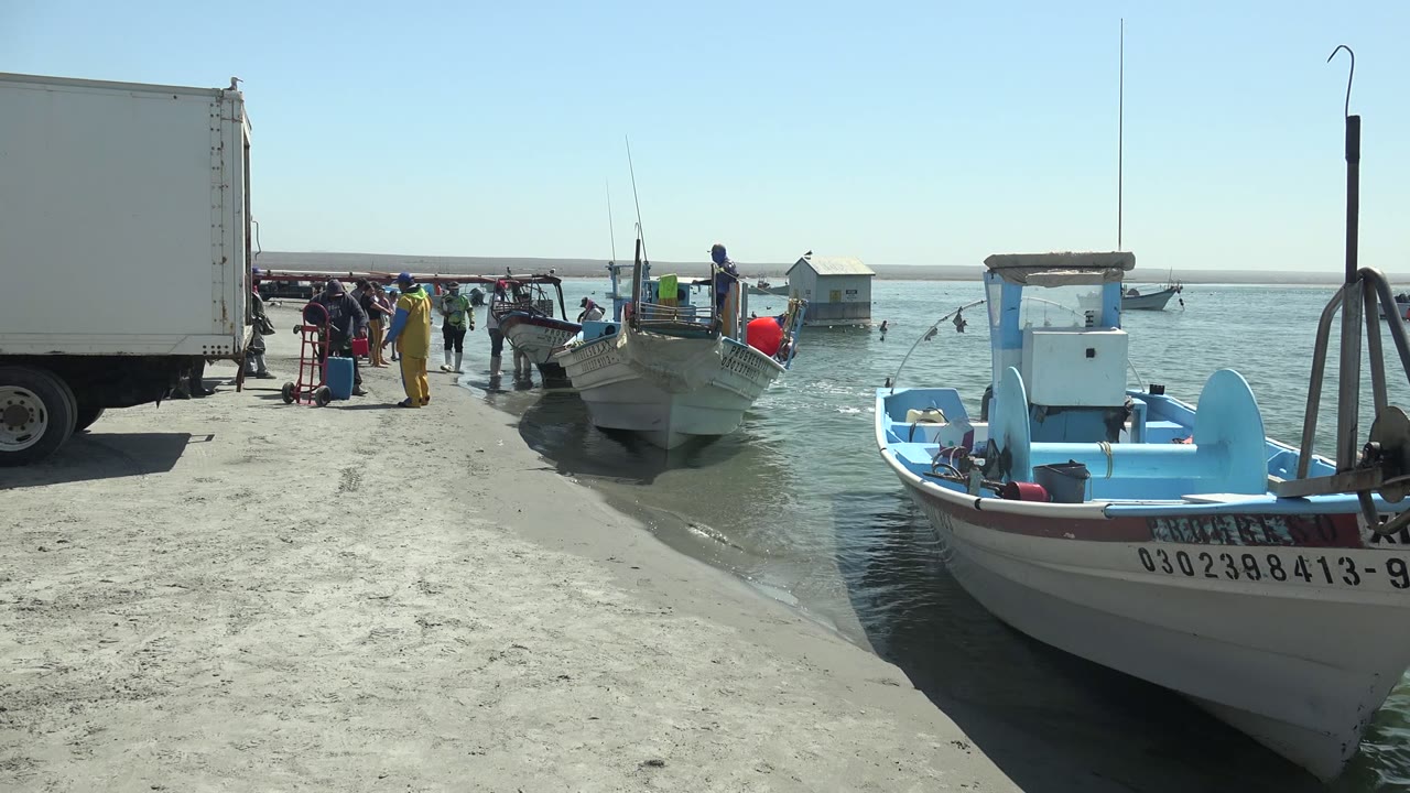 At La Bocana, Baja California Sur, a white and blue fishing boat sits in the foreground while people gather near another boat and a white truck on the concrete dock.