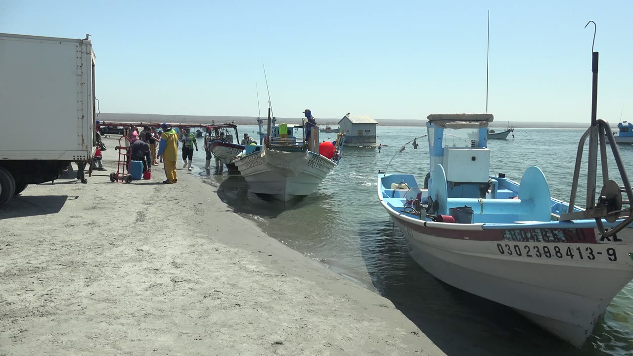 Small fishing boats at a dock with people walking near a parked truck.