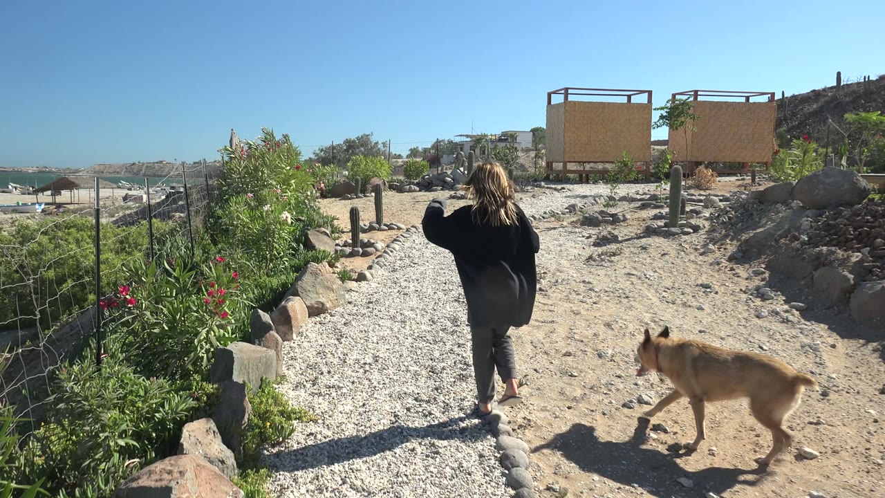 At 0:00 in San Juanico, Baja California Sur, a woman seen from behind walks a tan dog on a gravel path bordered by rocks, plants, and a wire fence, with the ocean in the distance.