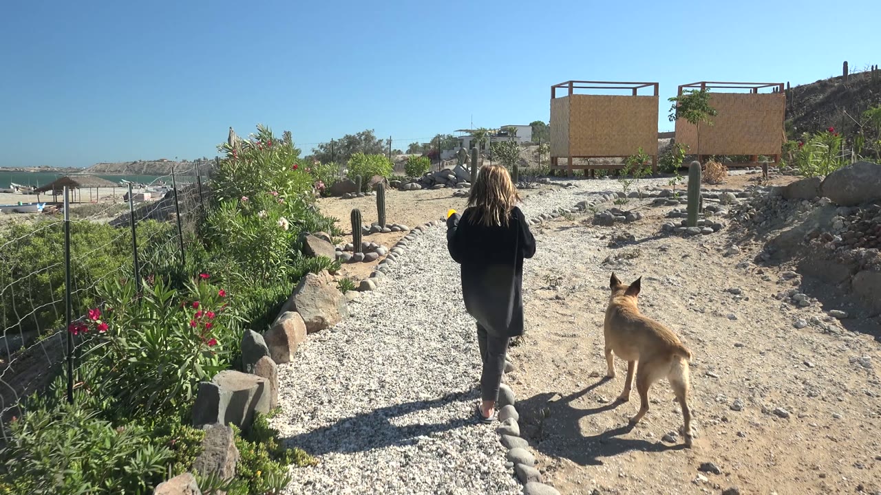 Woman and dog continue along a sunny gravel path toward the beach.