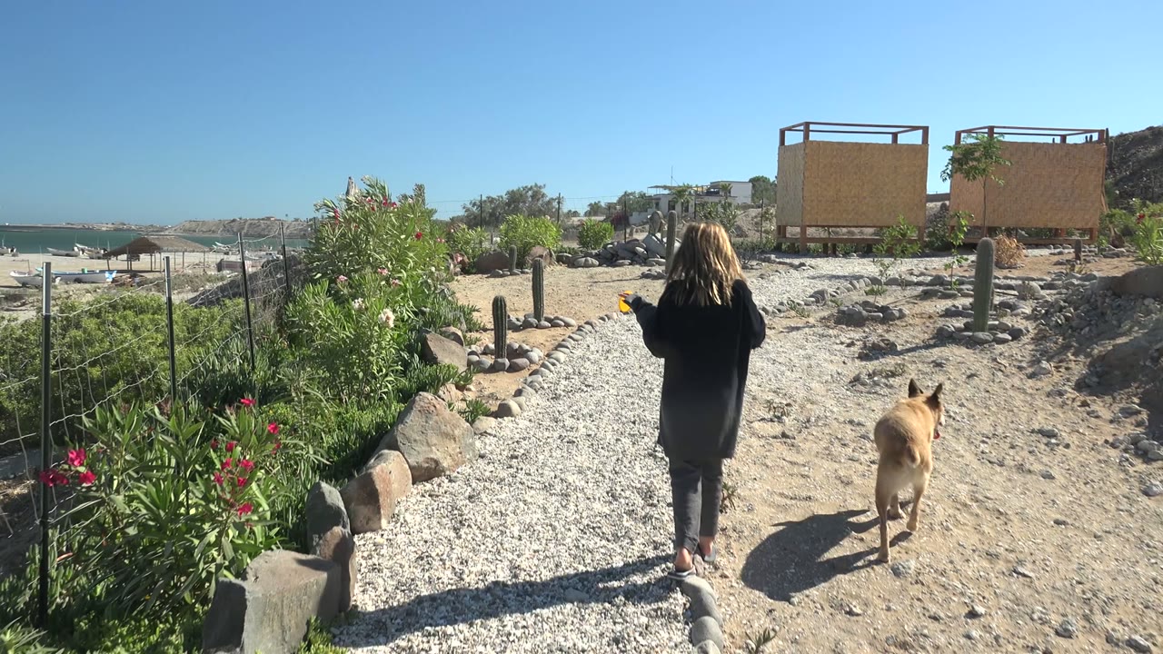 At 0:02 in San Juanico, Baja California Sur, the dog has shifted slightly to the right of the woman as they continue past rocks and low greenery toward the sandy beach and ocean.