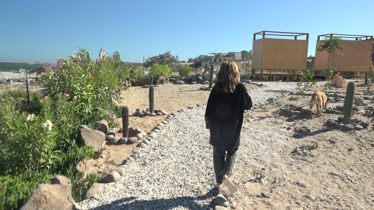 Woman farther along the gravel path as a cat moves across sandy desert landscaping.