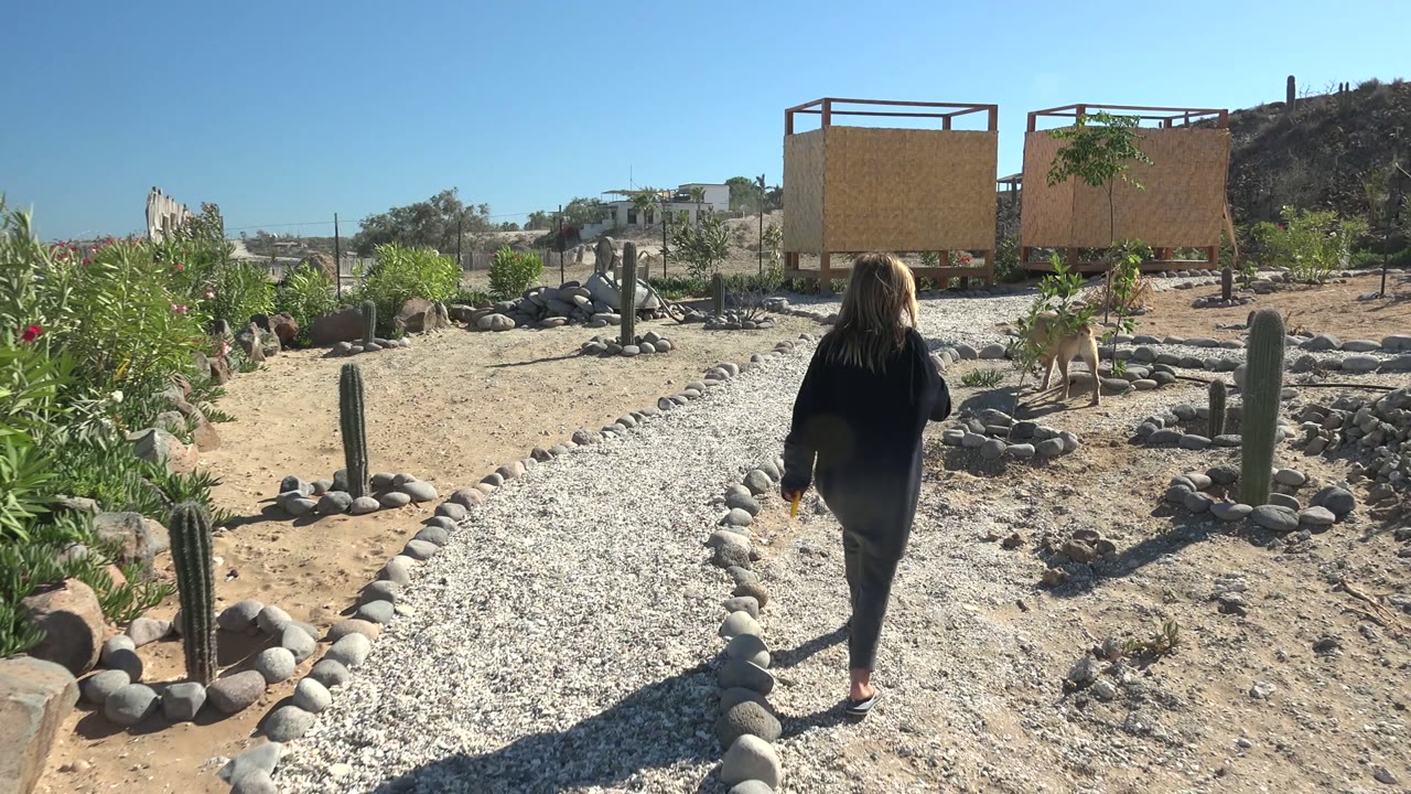 Woman walking down a gravel path with desert plants and wooden structures ahead.