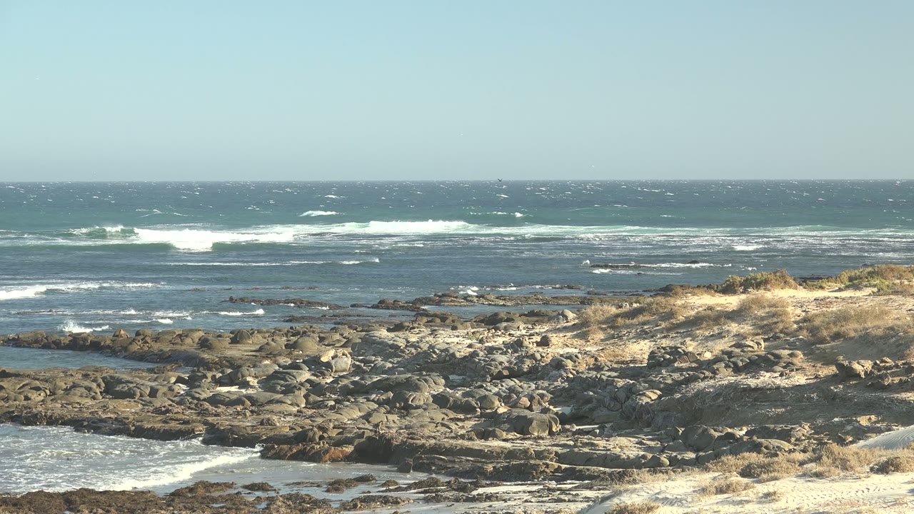 Whitecaps roll toward rocks and pale dry vegetation along the shore.