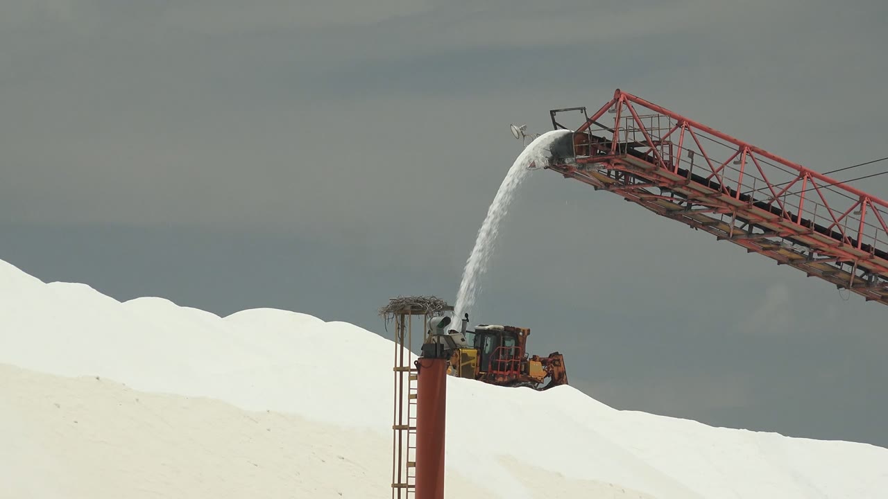 Industrial conveyor sends a white stream onto a mound beside a loader.