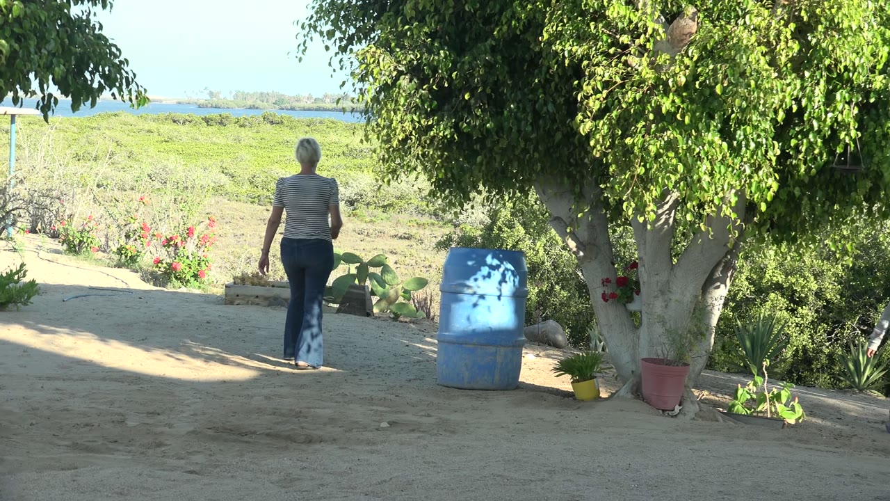 Woman walking away as a child enters the garden courtyard