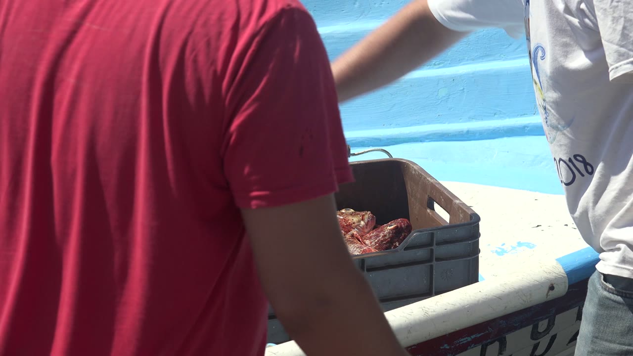 At La Bocana, Baja California Sur, two men stand beside a blue boat with a brown crate of seafood partly visible in bright sun.