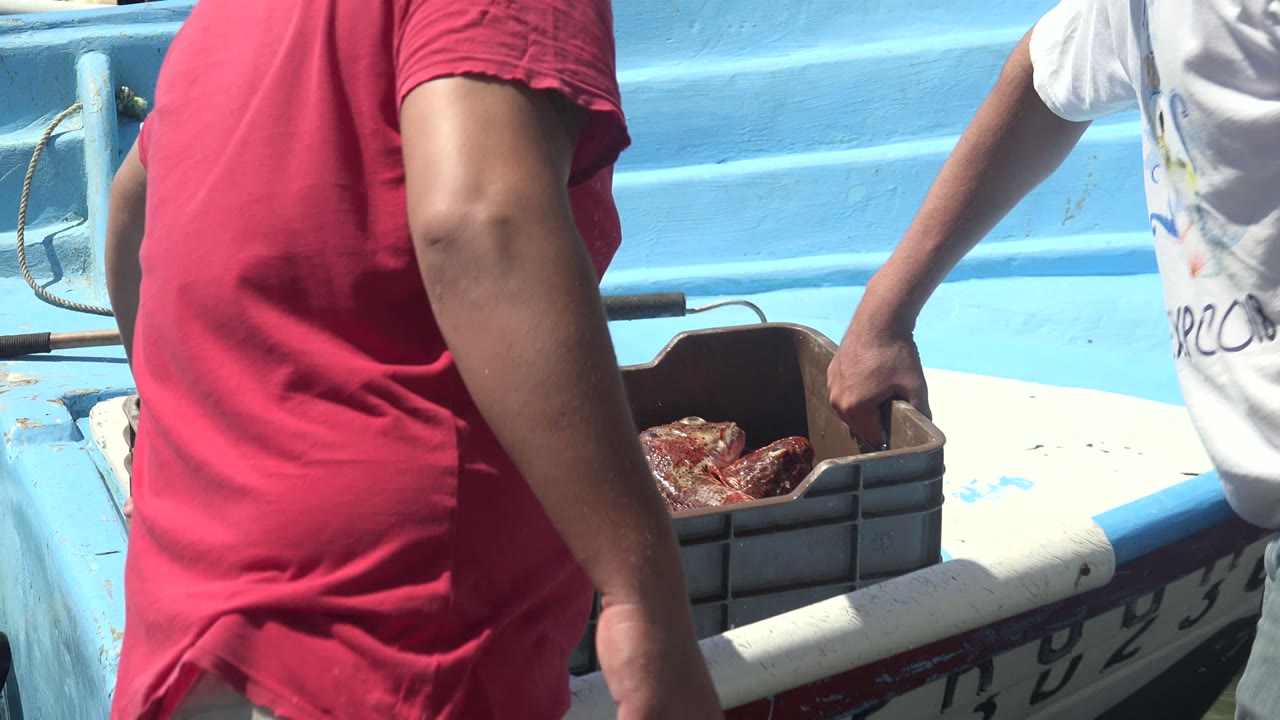 Men lift or handle a crate of seafood beside a blue boat.