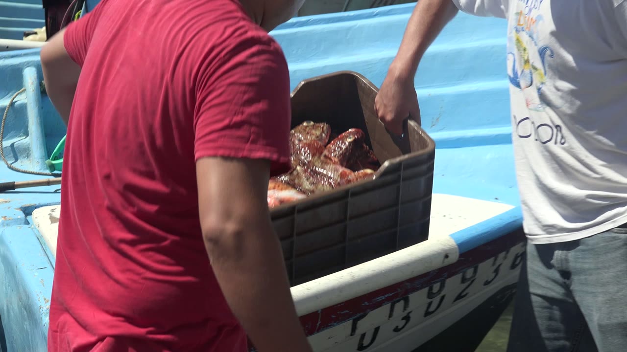 At La Bocana, Baja California Sur, two men carry the brown seafood crate near the blue boat, with sand, shallow water, and other people in the background.