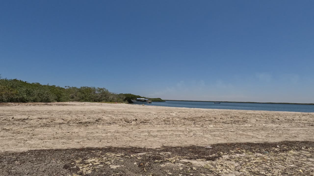 Baja California, Mexico beach view with pale sand in front, low coastal bushes to the left, calm blue water on the right, and no visible people.