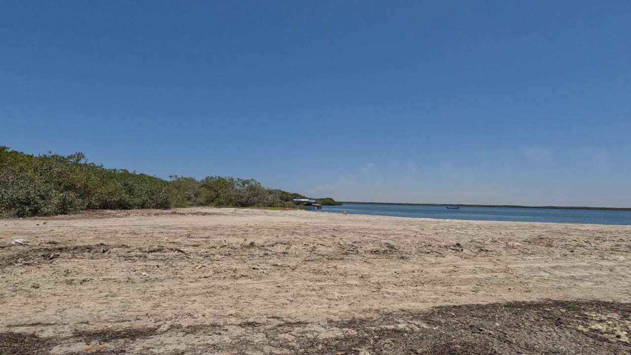 Beach sand and coastal shrubs with calm water beyond the shoreline.