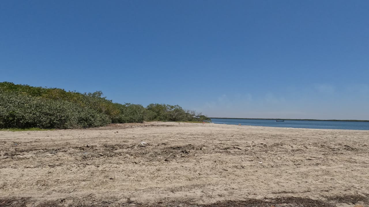 Baja California, Mexico coastal scene with the shrub line larger on the left, pale sand across the foreground, calm water to the right, and no visible people.